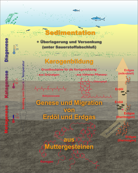 kerogen_V5_05.09.2013.png